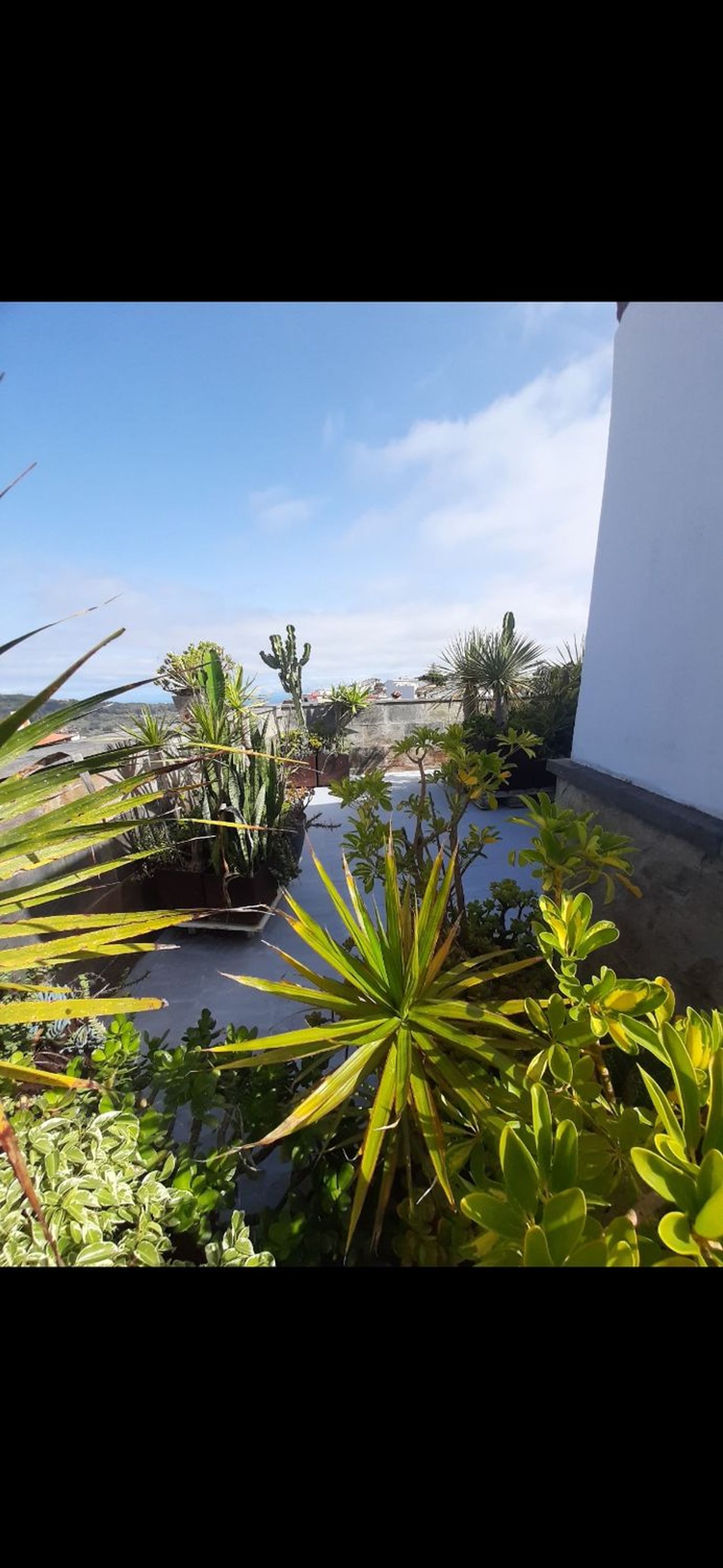 Chalet adosado en Gc-212, 4 d, San José del Álamo-El Hornillo, San José del Álamo-El Hornillo - Foto 16