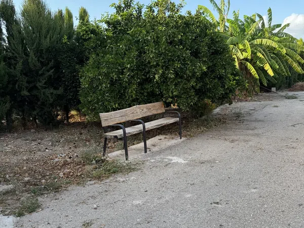 Finca rústica en Camino de los Plazas, 16, San José de la Vega - Foto 3
