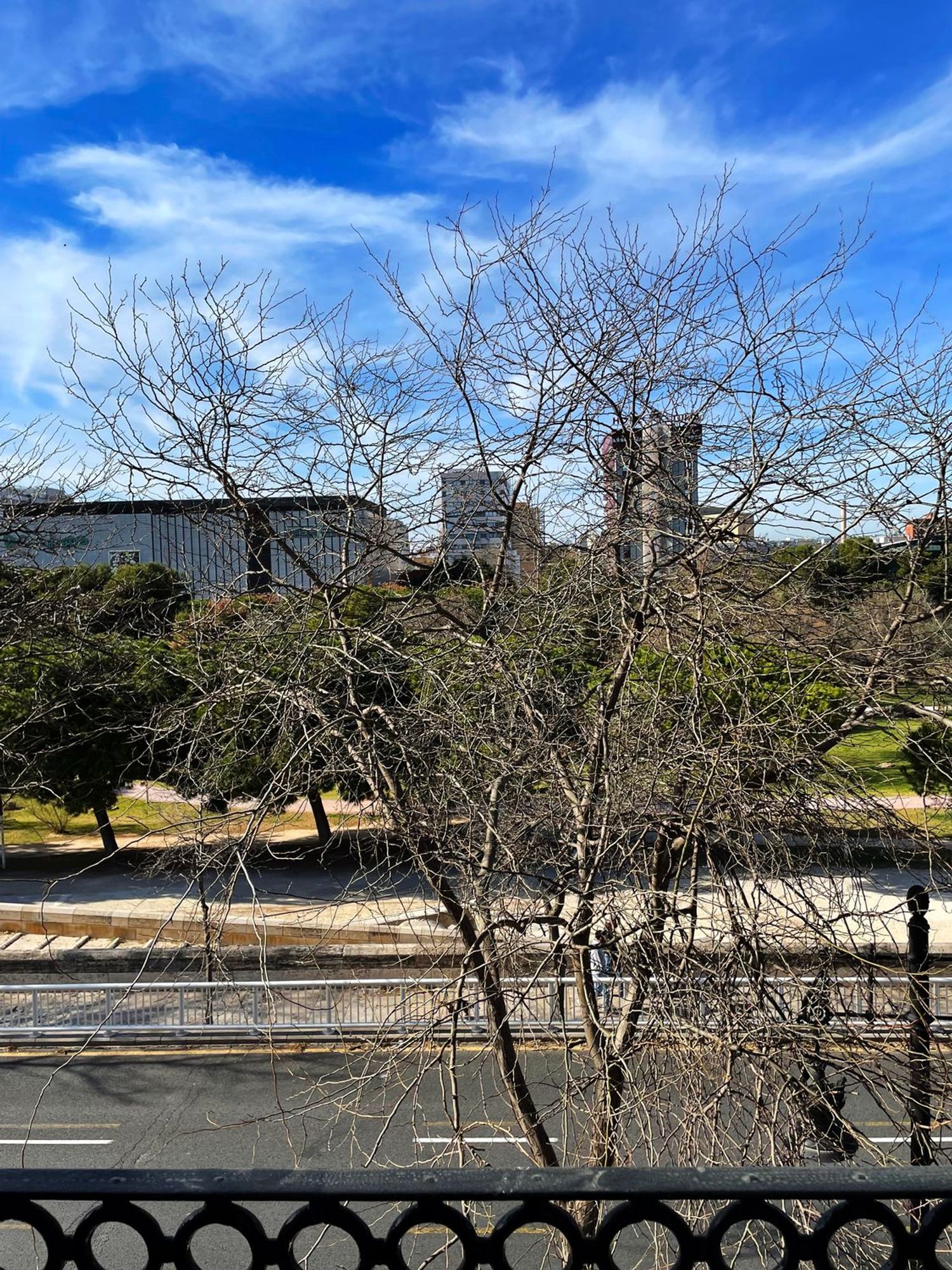 Piso en paseo de la Petxina, 13 - Foto 11