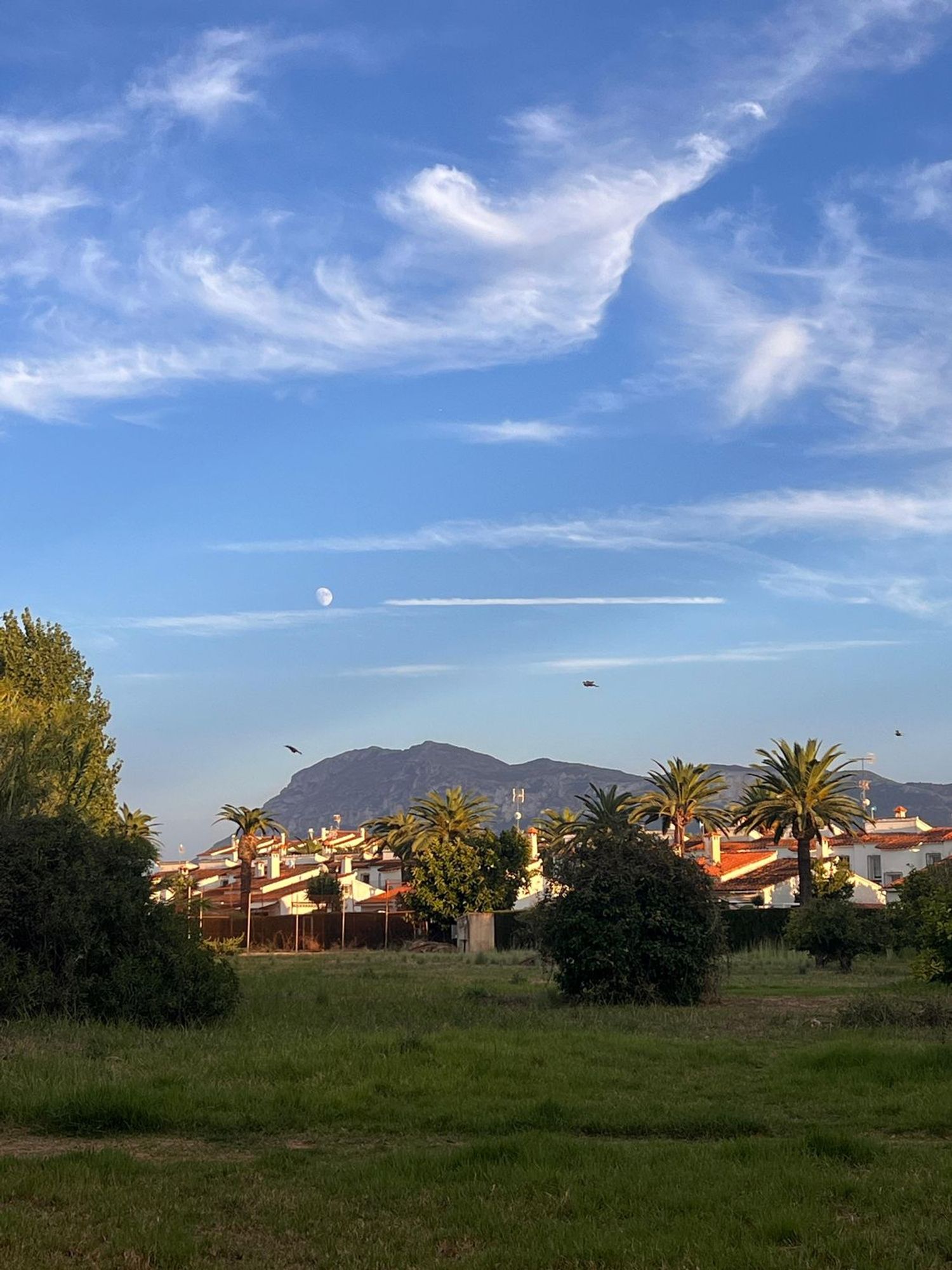 Piso en Calle Òliba, 9, El Palmar-Los Molinos - Foto 18