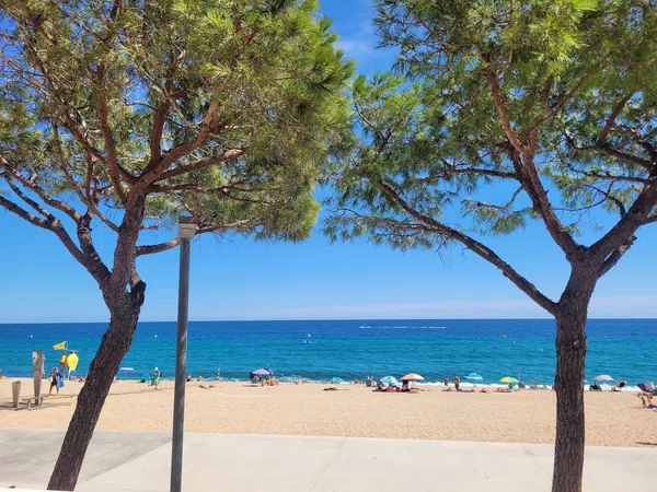 Piso en Calle Ciutat de Girona, 30, Platja Llarga - Foto 3