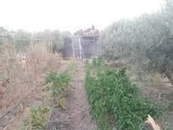 Finca rústica en Poligono, 8, Estación, Estación - Foto 17