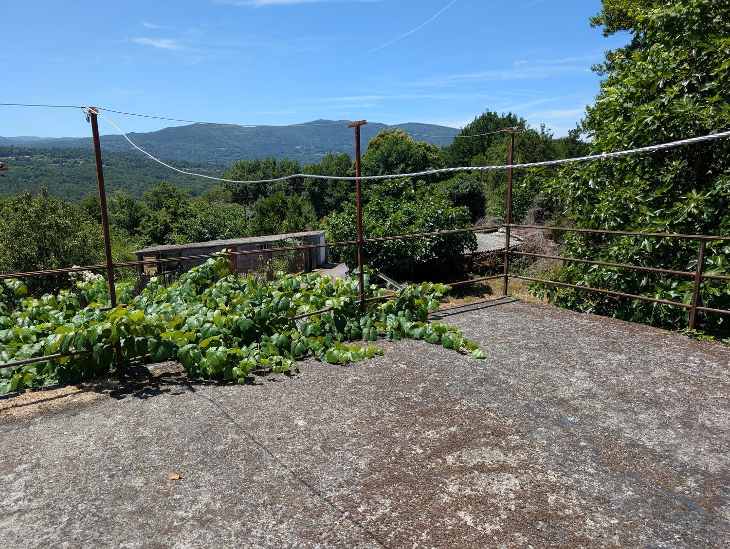 Finca rústica en Vilar da Ponte, 24 - Foto 7