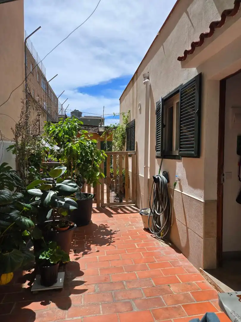 Planta baja en  Carrer Gremi de Boneters 22 - Foto 5