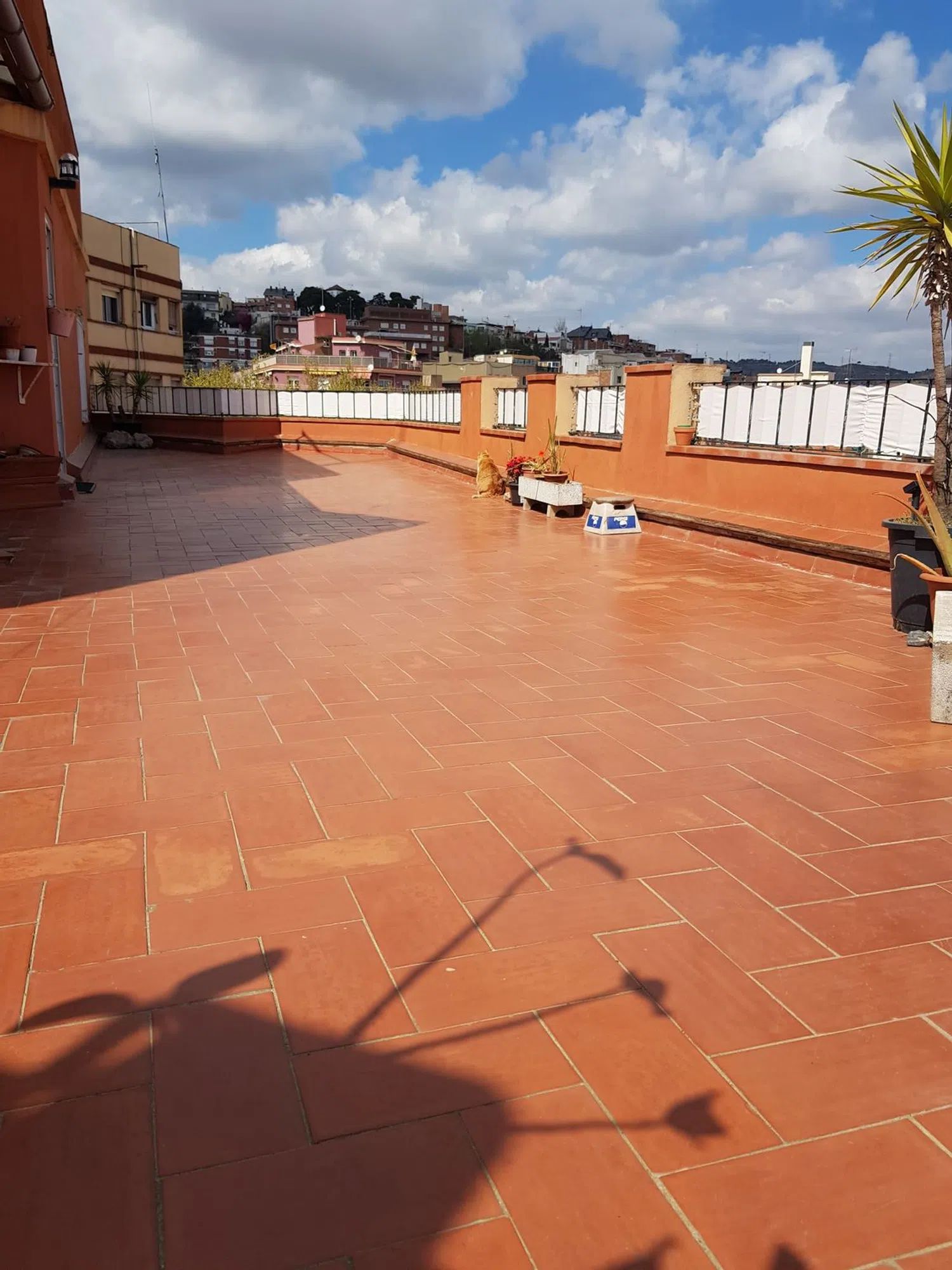 Ático en avenida mare de deu de montserrat, 209 - Foto 5