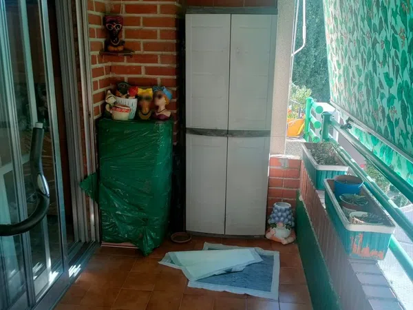 Piso en Calle los Olivos, 1 - Foto 11