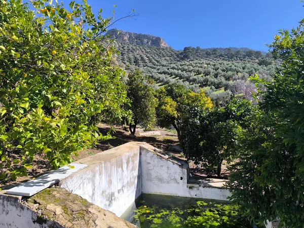Cortijo en Via Sin Nombre s/n - Foto 32