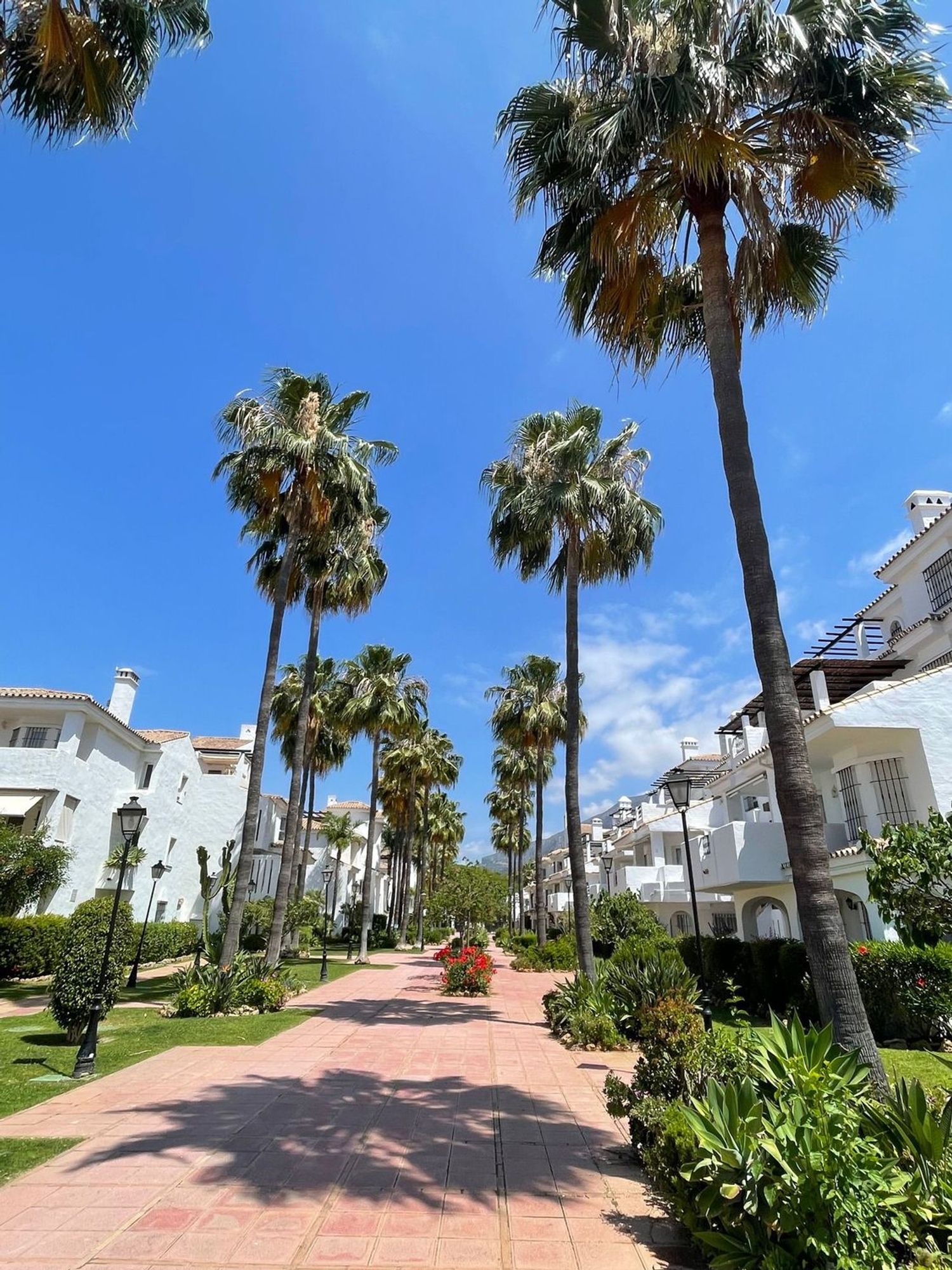 Ático en Urbanización Los Naranjos de Marbella s/n, La Dama de Noche-La Alzambra - Foto 7