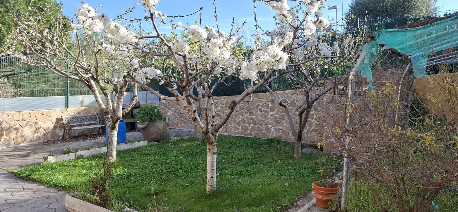 Casa independiente en calle Anacleto López, 1 - Foto 13