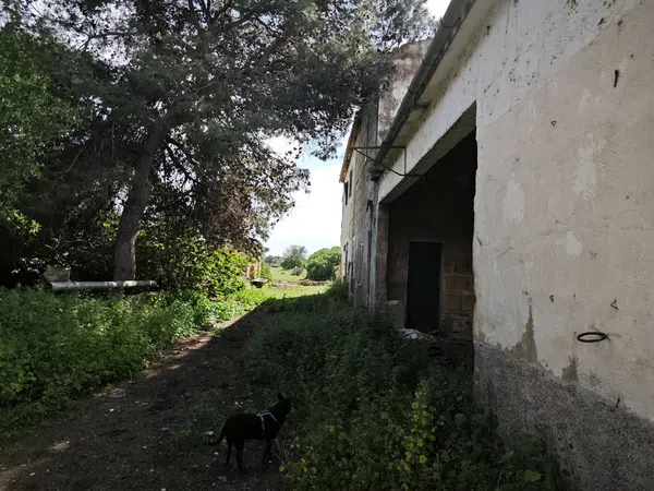 Casa rural en Camino de Muntanya, 304 - Foto 8