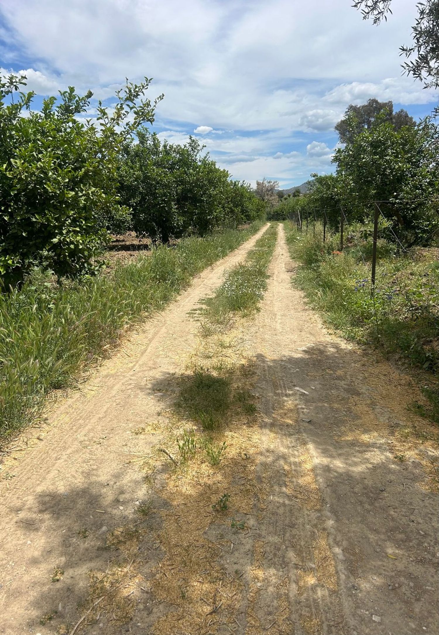 Finca rústica en Diseminado Poligono, 38 - Foto 37