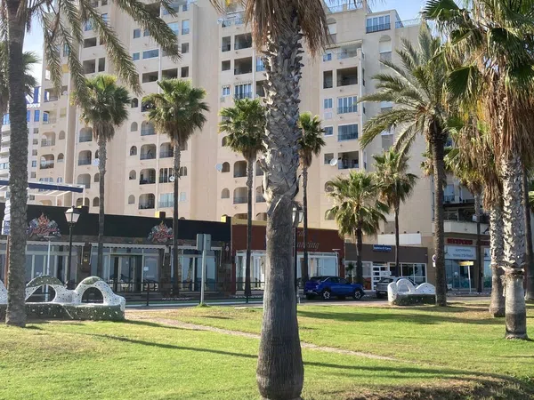 Piso en Paseo Mediterraneo, 103, Balneario - Foto 33