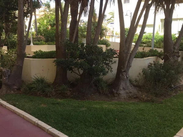 Ático en Avenida del Carmen, 25, Puerto de Estepona - Foto 11