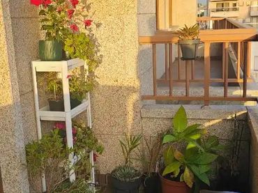 Apartamento en  PO-550 34 - Foto 3