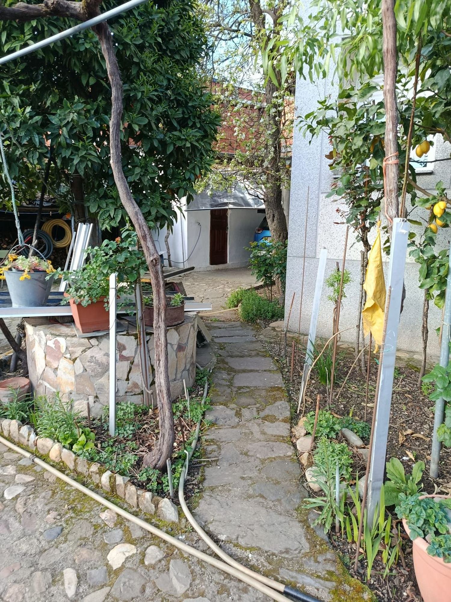 Casa o chalet independiente en Calle Felgar, 18 - Foto 31