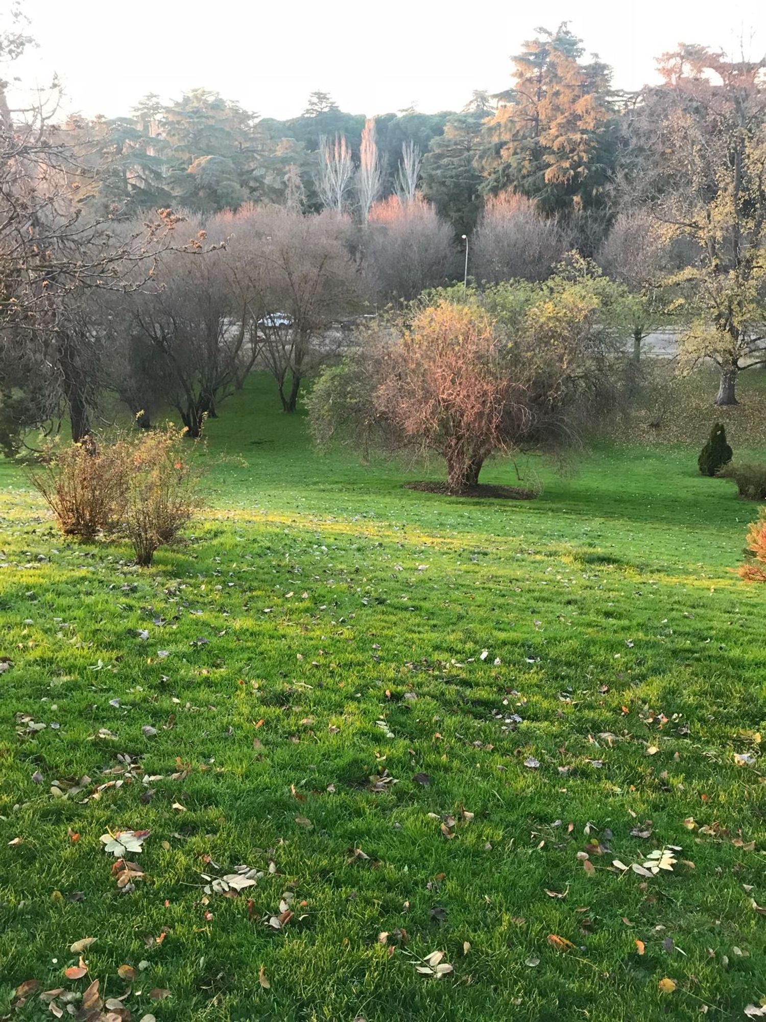 Piso en calle de Francisco Lozano, 10 - Foto 24