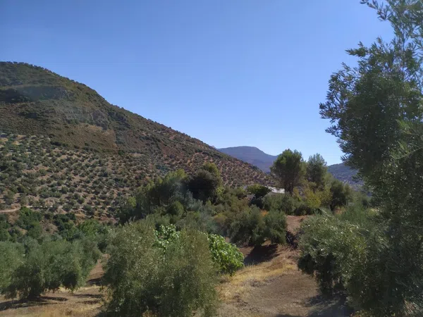 Cortijo en Calle Sierra Grande, 1 - Foto 9