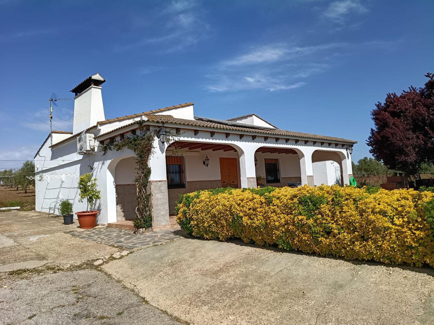 Finca rústica en Carretera los Santos de Maimona, 10 - Foto 5