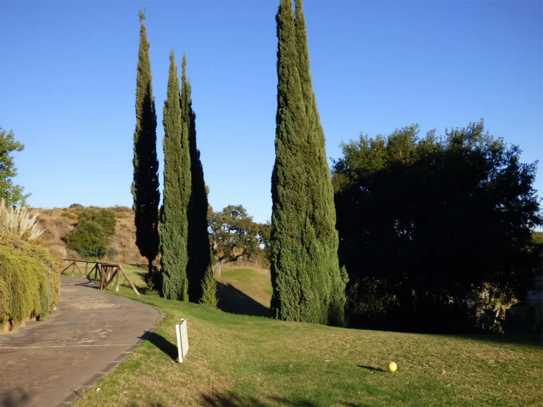 Piso en  Calle Miguel de Cervantes 9 - Foto 38