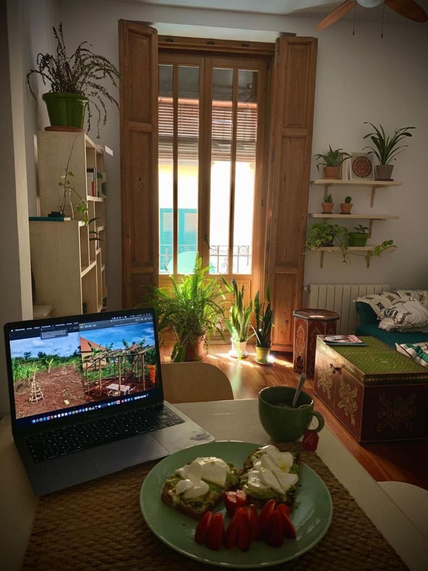 Piso en Calle de la Corretgeria, 34, La Seu - Foto 15