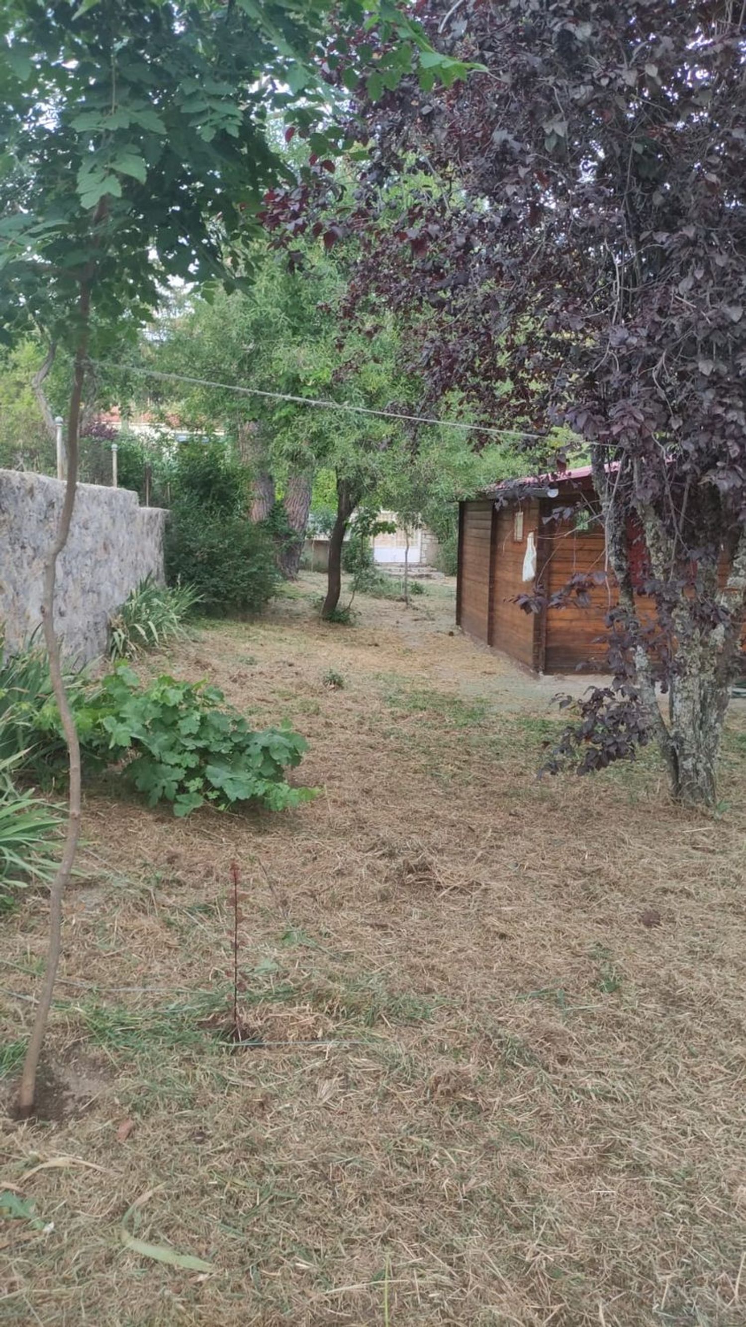 Casa o chalet independiente en Calle Menorca, 1 - Foto 4