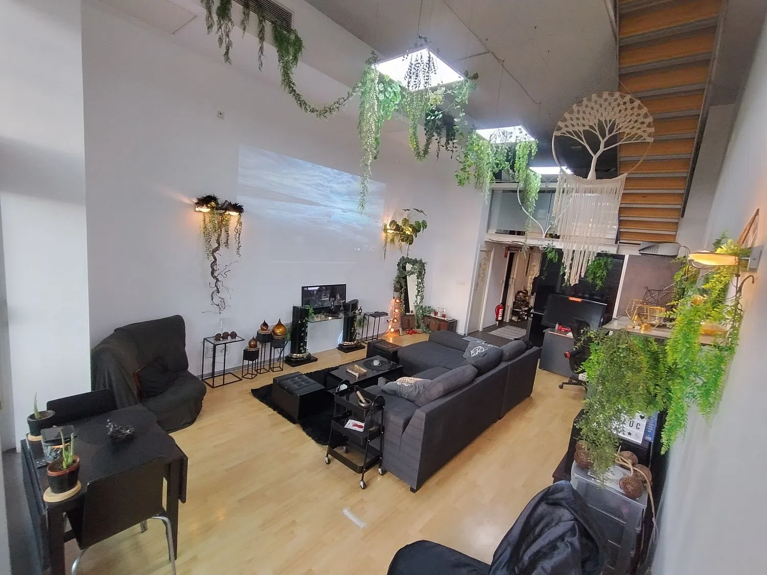 Estudio en calle de la Creu Roja, 1 - Foto 4