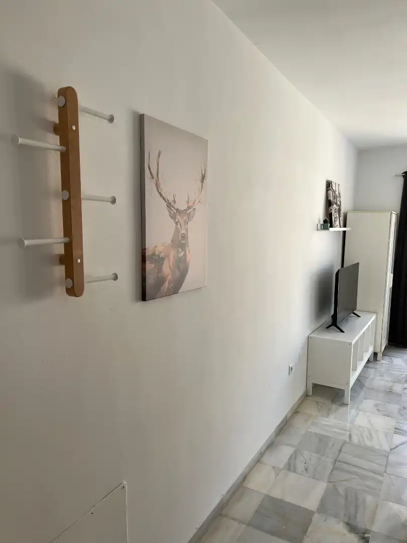 Estudio en  Calle Capuchinos 9 - Foto 4
