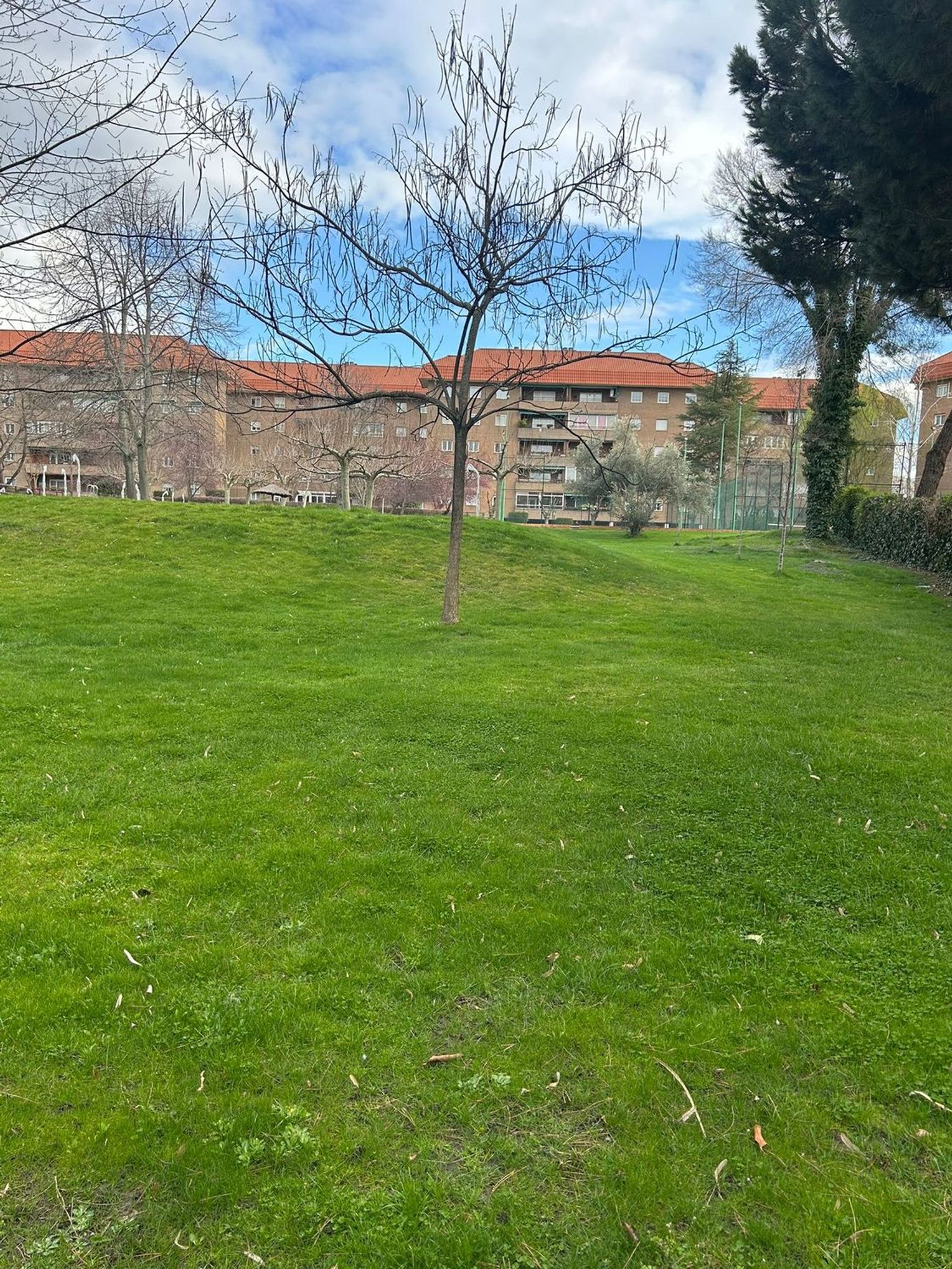 Piso en Cordoba s/n Nd - Foto 12