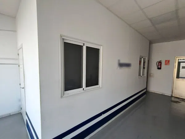 Local en Calle Pino Estrobo, 1, Palmete-Padre Pío-Hacienda San Antonio - Foto 10