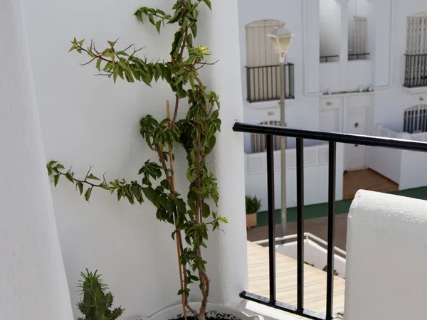 Chalet adosado en Calle Camino del Palmeral, 20 I, Zona el Palmeral, Zona el Palmeral - Foto 38