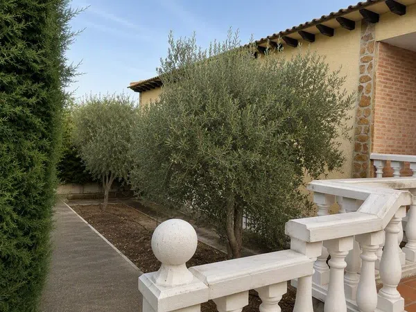 Casa o chalet independiente en Avenida Virgen del Amor de Dios, 16 - Foto 3