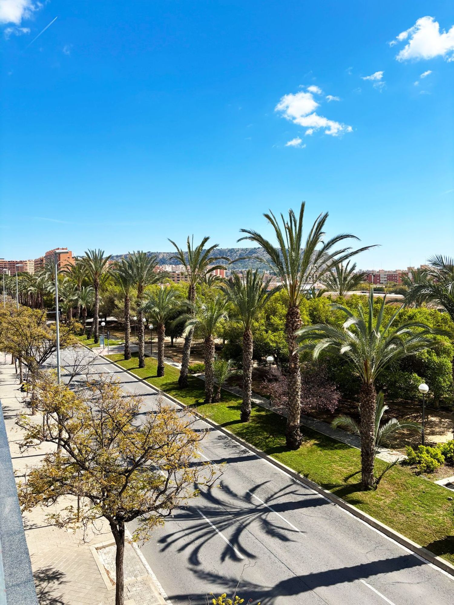 Piso en calle Granja de Rocamora, 4 - Foto 12