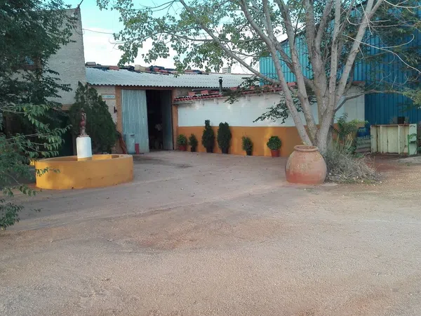 Finca rústica en Carretera de Ossa de Montiel s/n - Foto 3