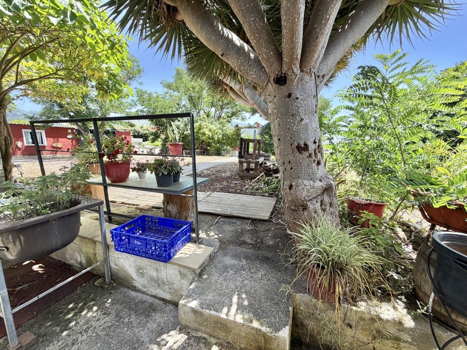 Casa o chalet independiente en Calle Juan Perez, 55, Tacoronte - Los Naranjeros, Tacoronte - Los Naranjeros - Foto 33