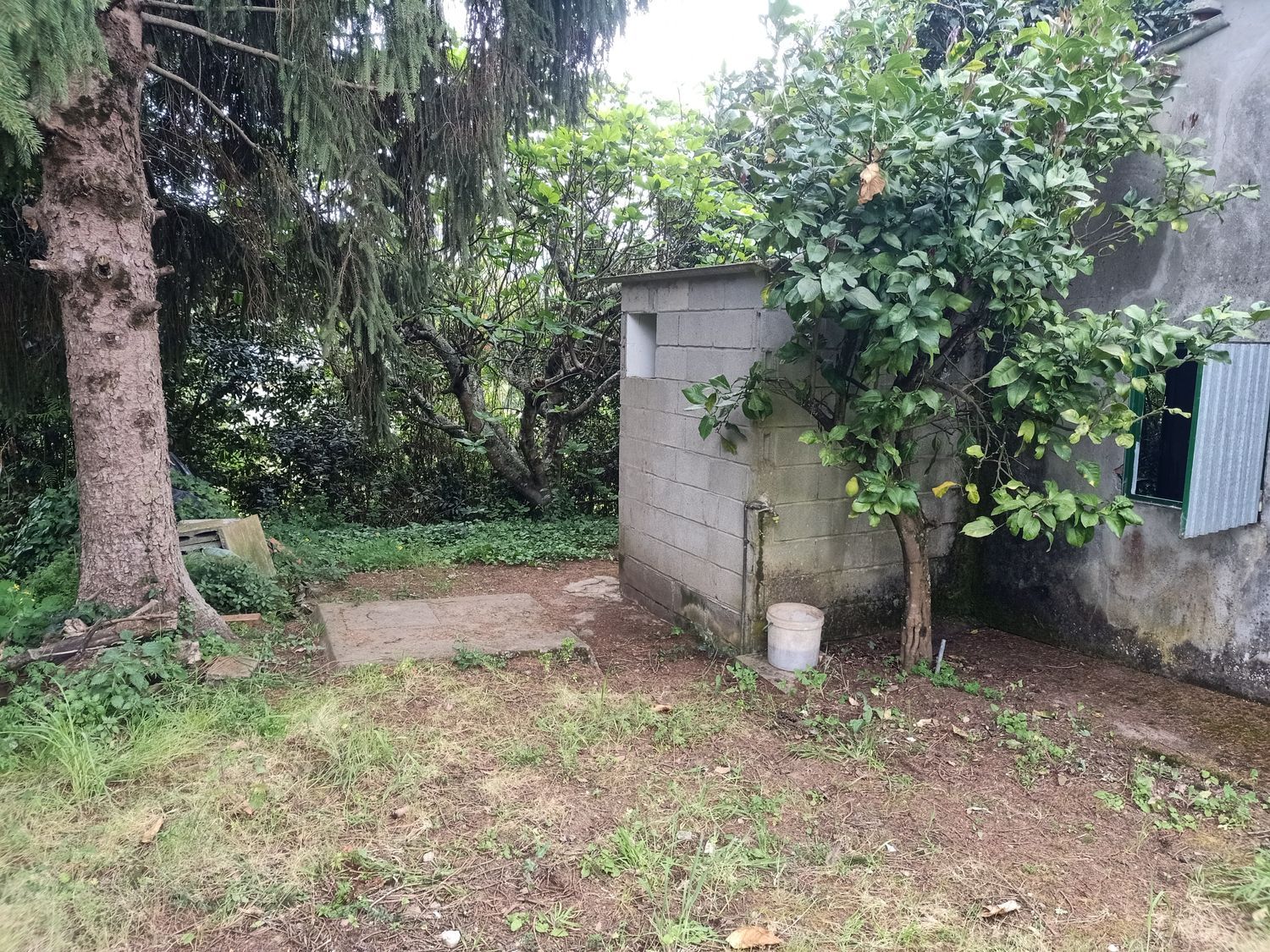 Finca rústica en Lugar Veiga, 5 - Foto 17