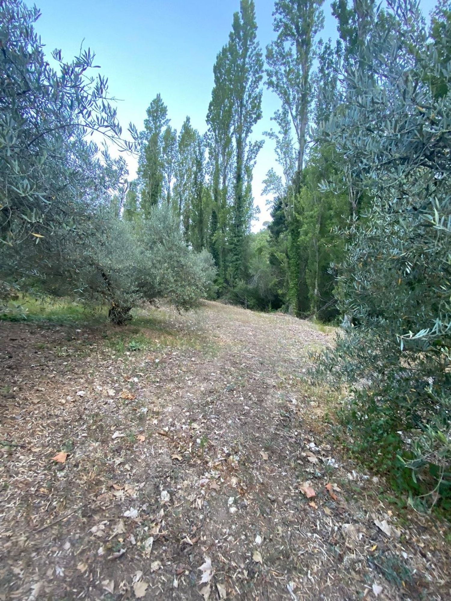 Finca rústica en Sn s/n - Foto 20
