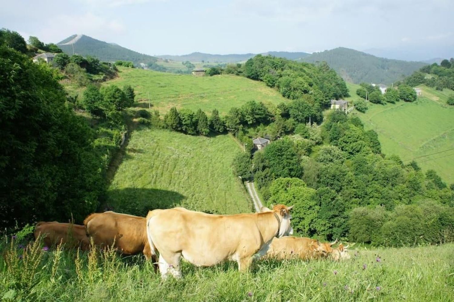 Casa rural en Busindre s/n s/n - Foto 24