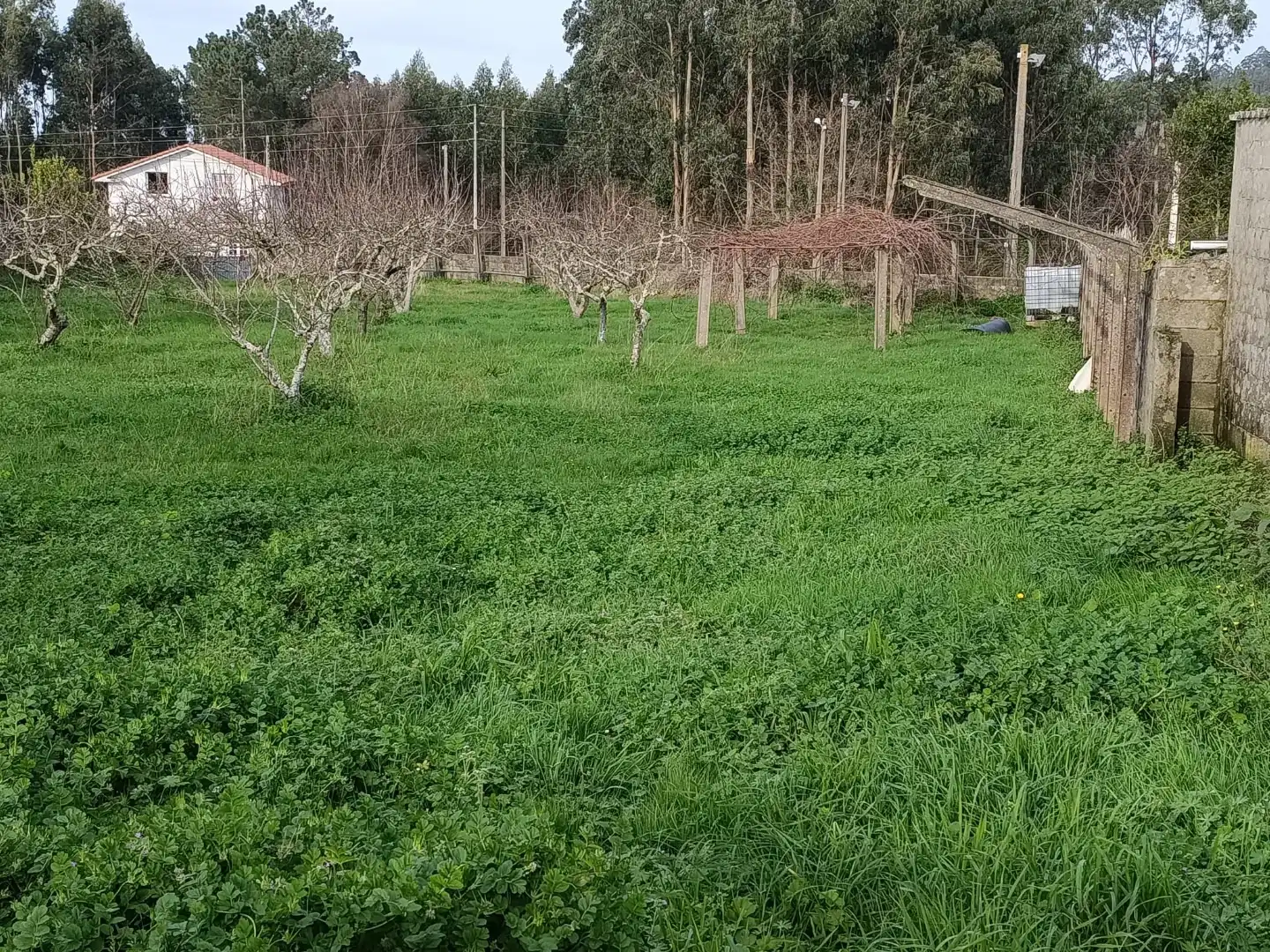 Planta baja en  Camiño Grande 33 - Foto 8