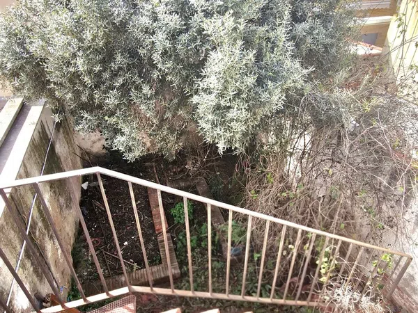 Chalet adosado en Calle Francesc Macià, 36 - Foto 16