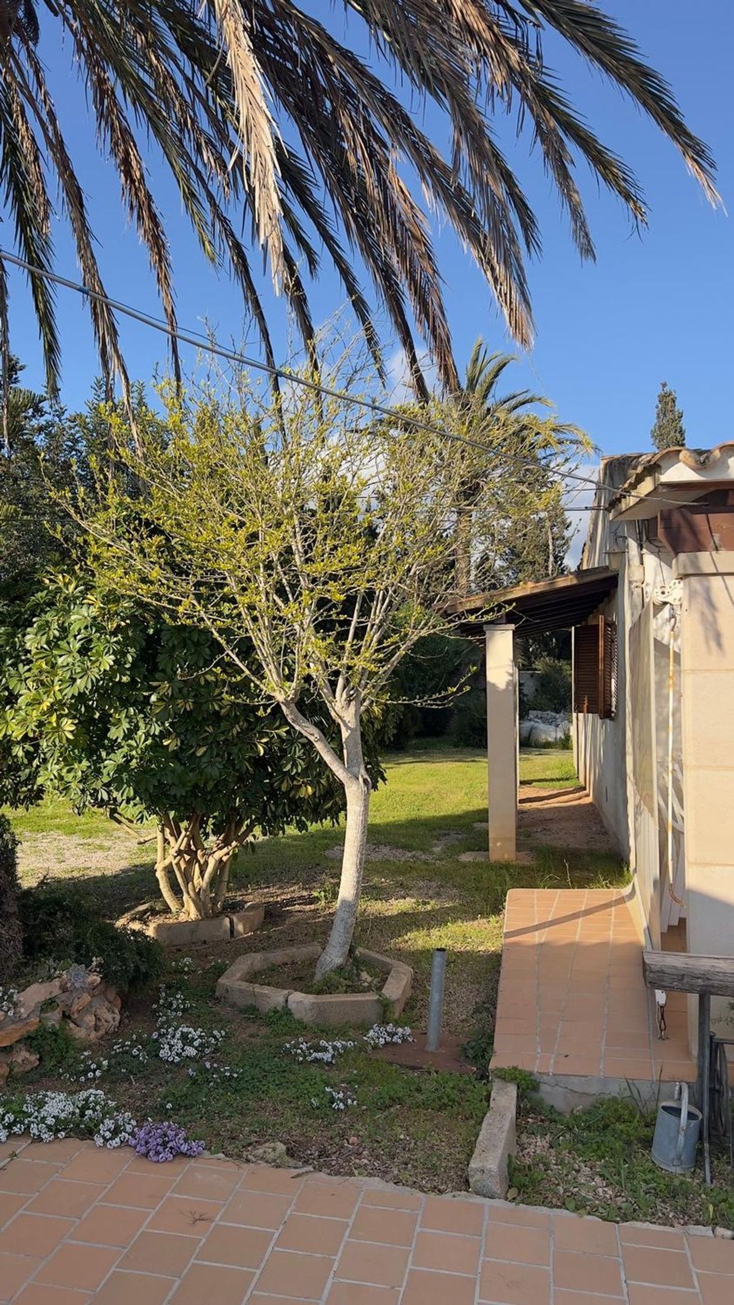 Casa independiente en Llucmajor Interior - Foto 11