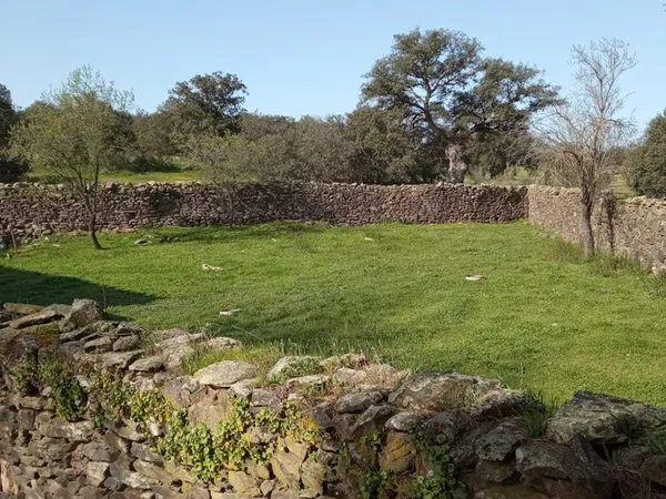 Finca rústica en Camino de la Huerta Bastida s/n - Foto 7