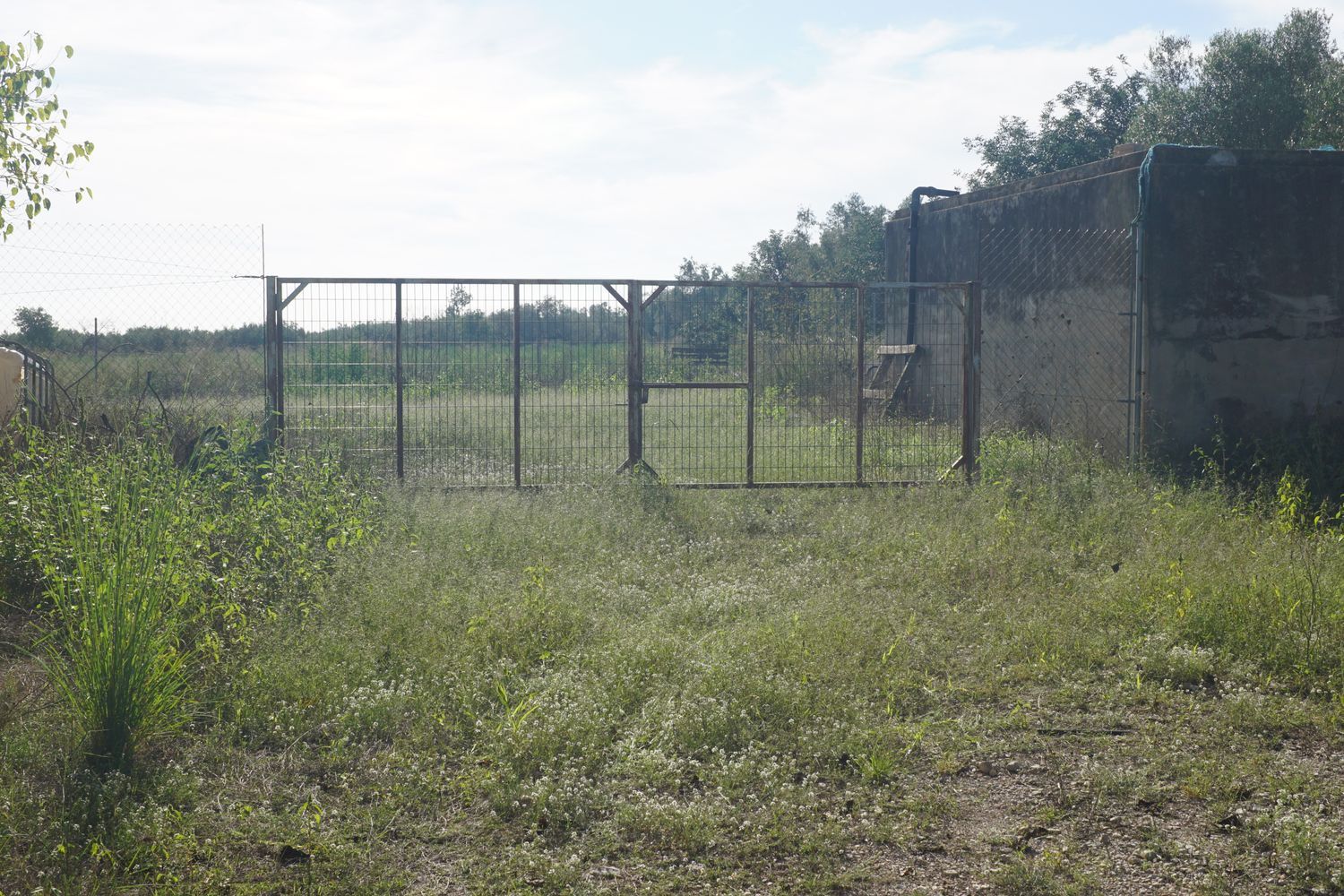 Casa rural en Pd Parellades - Polígono 16, Panxa Blanca, 49 Parcela - Foto 3