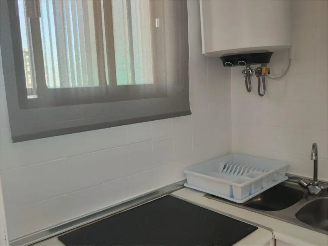 Apartamento en  Avenida de Uruguay 10 - Foto 16