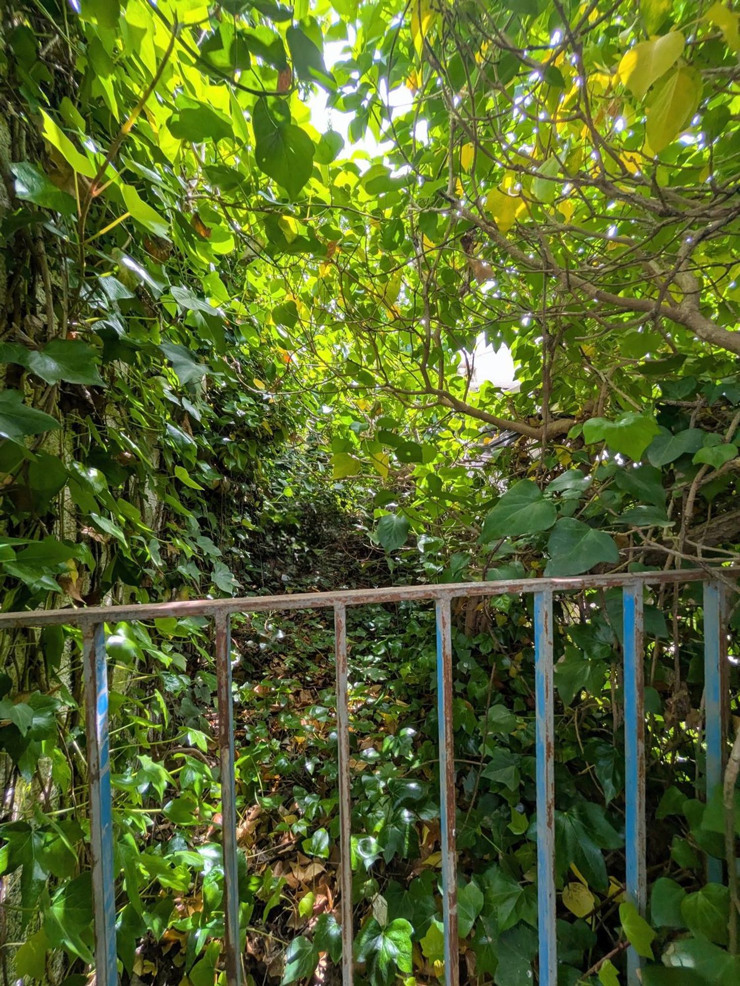 Casa o chalet independiente en Calle Rosario, 7, Cañadas de San Pedro - Foto 31