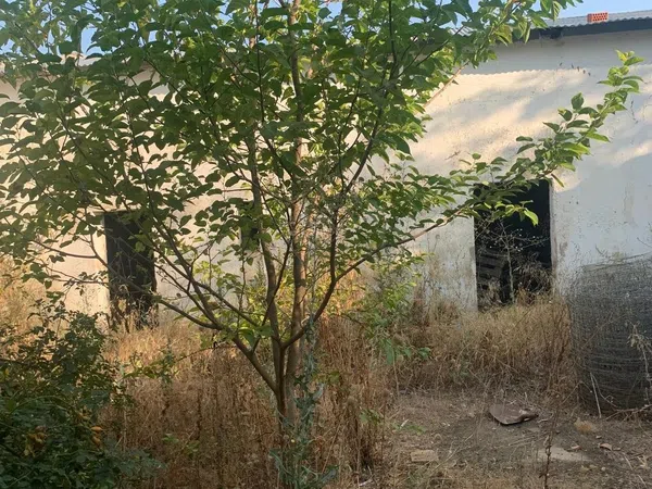 Finca rústica en Canchales altos, 43 - Foto 10