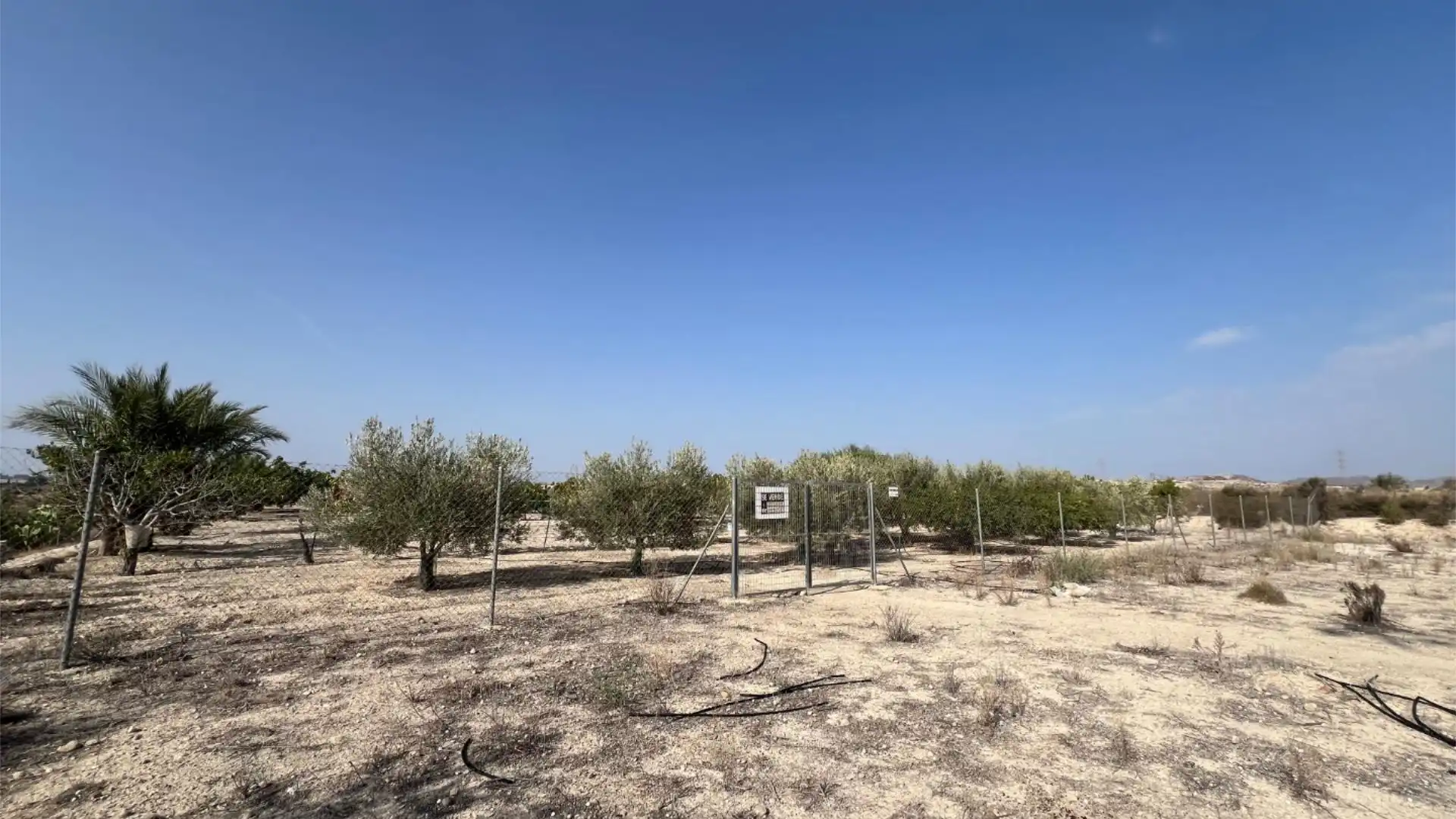 Finca rústica en  Calle Cordel de los Valencianos 2 - Foto 9