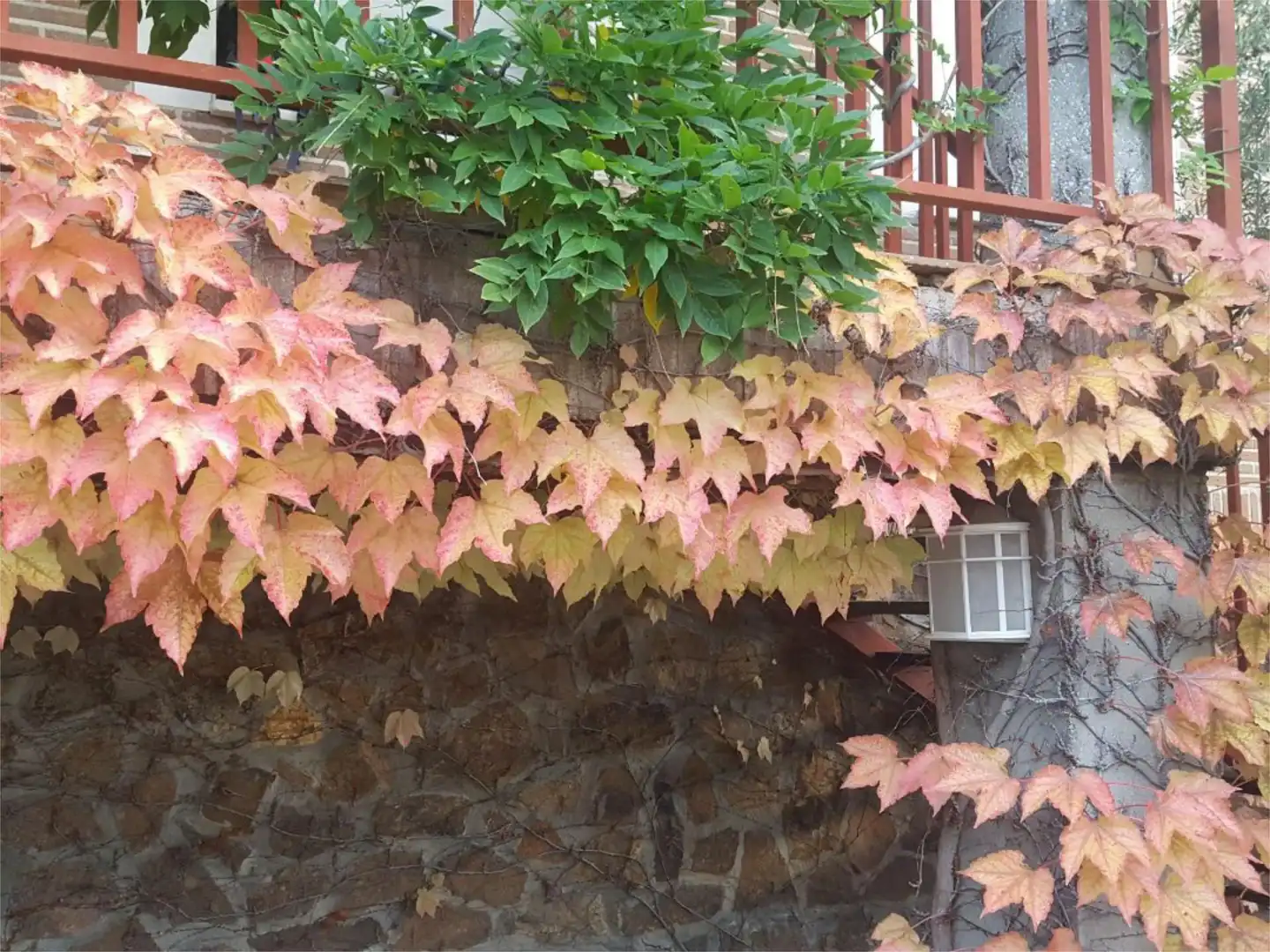 Piso en  Urbanización San Pedro de Alcántara 46 - Foto 39