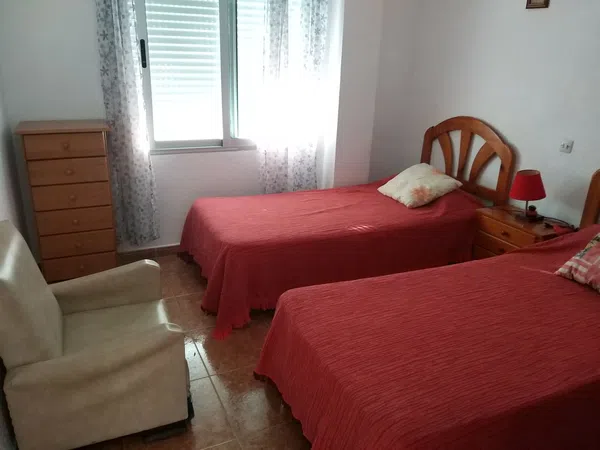 Piso en Avenida de la Llibertat, 18, Guardamar Playa, Guardamar Playa - Foto 12