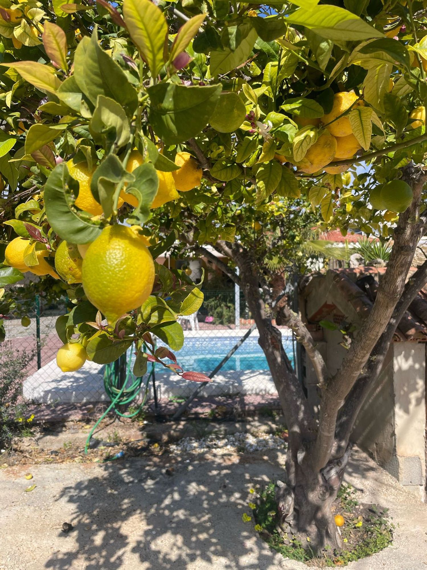 Casa o chalet independiente en Urbanización Albir Zona 2, 133 - Foto 9