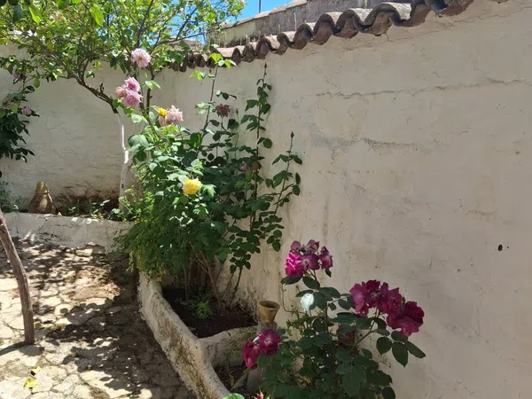Casa de pueblo en Calle Castelar, 2 - Foto 26